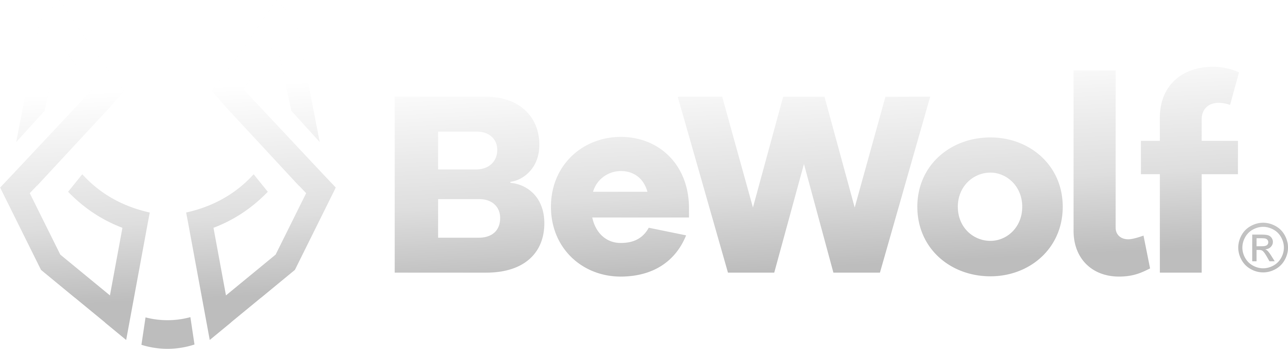 BeWolf Consultoria Empresarial - Logo